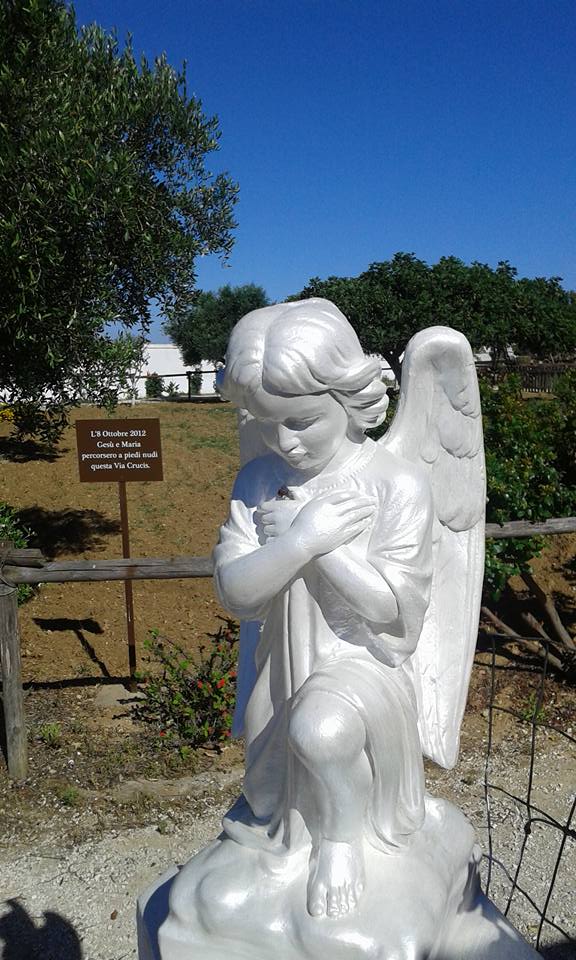 13450754_868610266578402_9053127180620441344_n-1