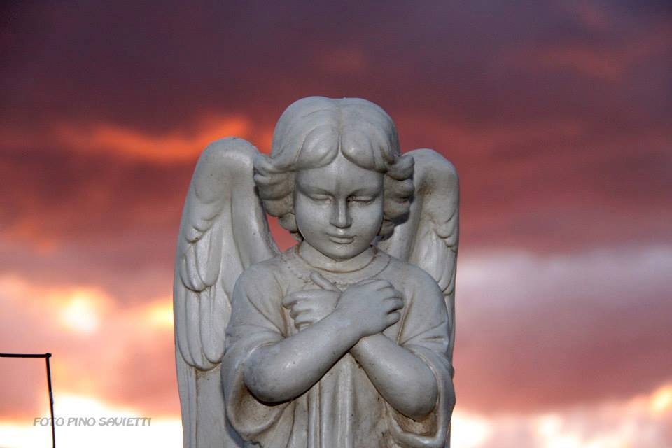 1531699_818475681552391_8509710590103455996_n